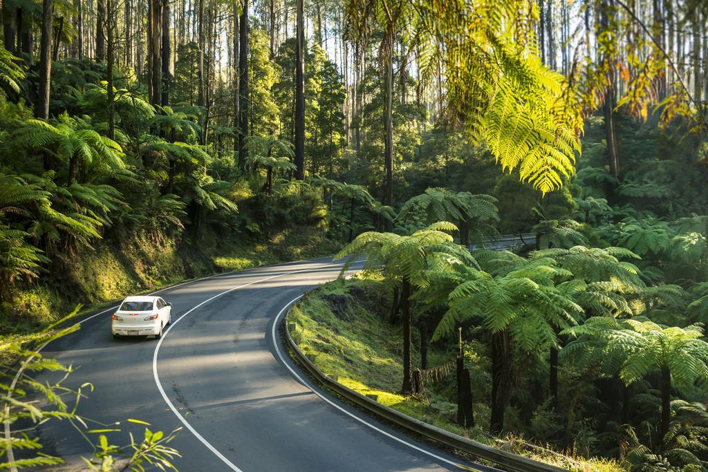 Lithgow Falls Marysville Eksteriør billede